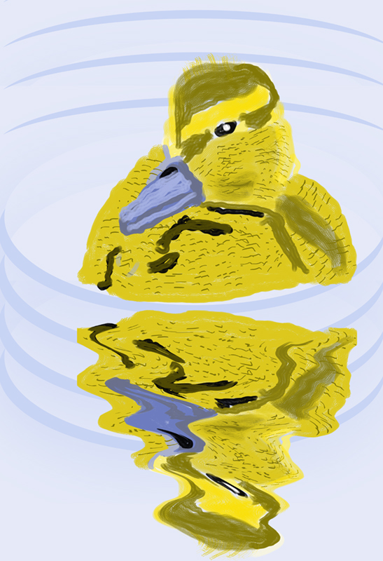 Digital drawing of a yellow duckling swimming. Its image is reflected in the water.